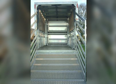 11 cattle trailer inside